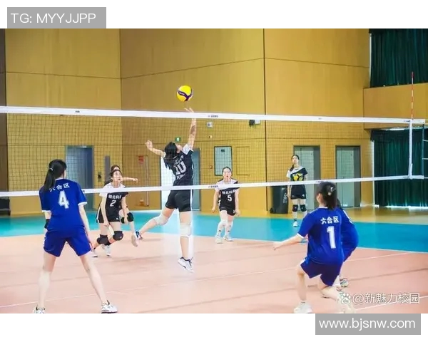 南京排球队在全国排球灵活性排行榜中荣获第六名展现出色竞技实力