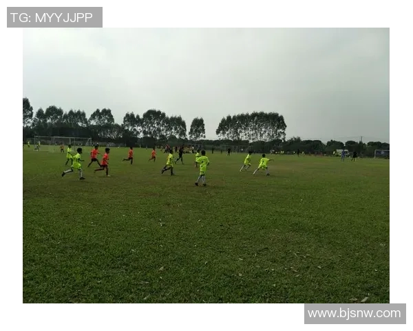 广州足球队在精英赛中的比赛经验与表现分析