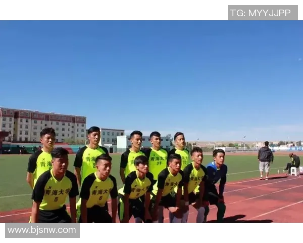 玉树足球明星队员名单揭晓球迷期待新赛季精彩表现与荣耀时刻