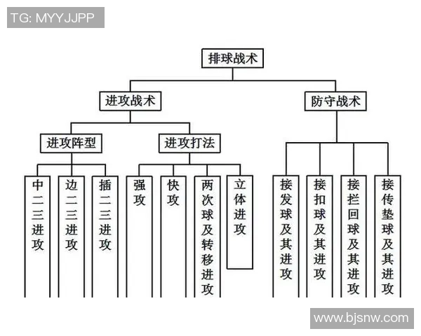 排球战术：上海排球队的进攻体系