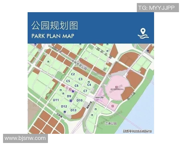 专业解读：南京足球队的整体压制打法